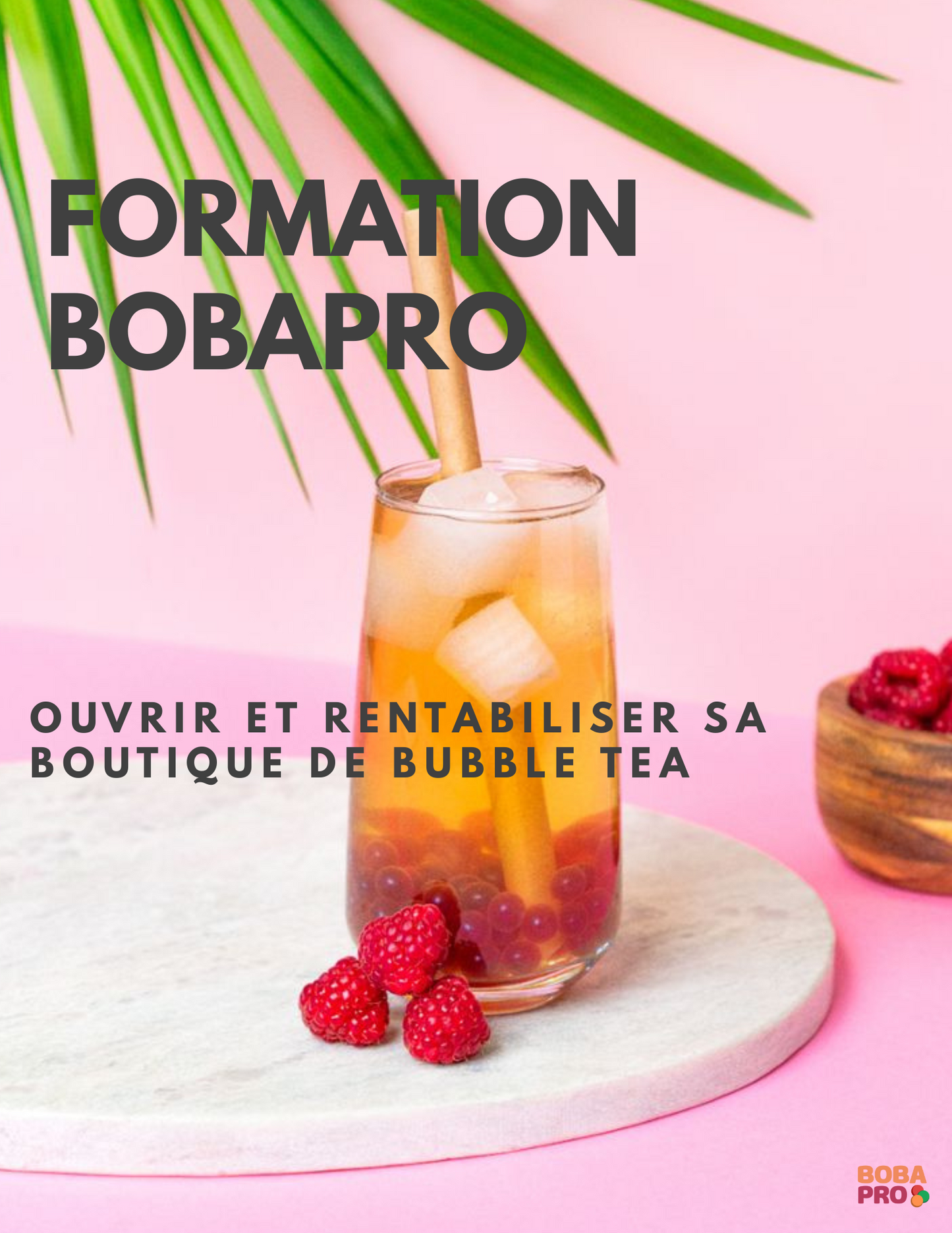 Formation - Ouvrir et rentabiliser sa boutique de Bubble Tea (E-Book)
