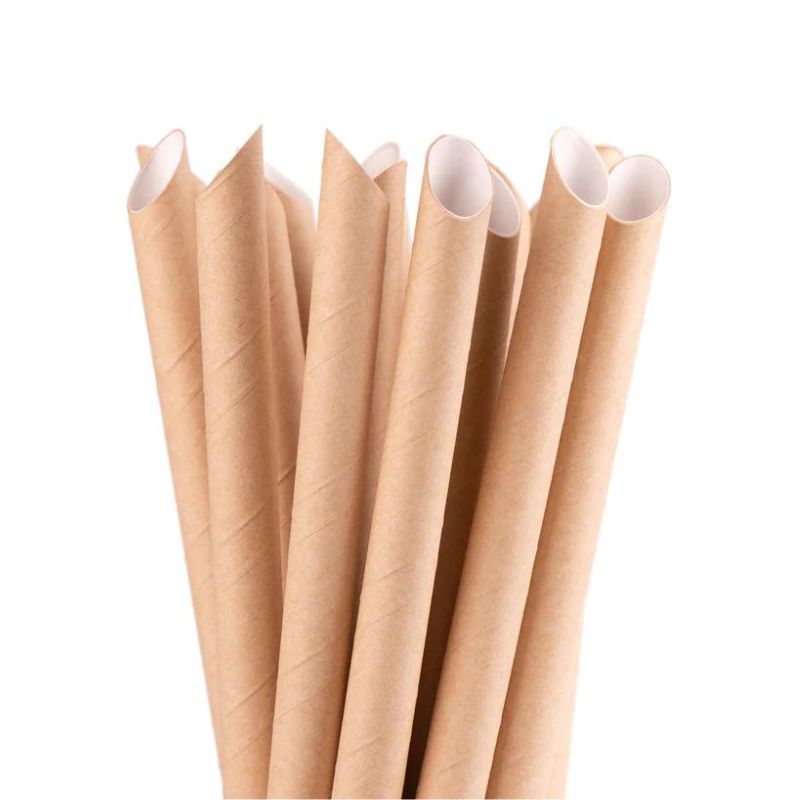 Pailles pour Bubble Tea XXL biodégradables